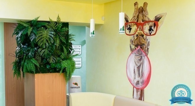 Панацея Красноармейский район