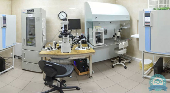 Геном — Волга